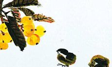 根据生肖属龙的星座预测，2022年将对于此人47岁的运势如何呢？