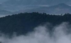 属于羊和虎的人在2022年的运势预测与吉祥颜色搭配！