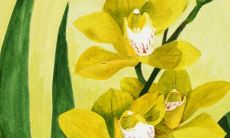 2020年鼠年兔的综合运势预测以及详细运程解析