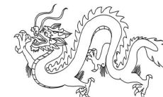 1976年，属龙人的退休年限分别是牛年、兔年和狗年各是哪一年？