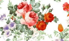 预测：摩羯座女生2022年爱情运势全面呈现，让你耀眼登场，赢得幸福真情！