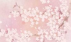 2022年，根据沙中土命的星象预测，沙中土命的未来运势展望是怎样的？