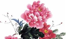 探究77年出生的蛇男在2022年的命运走向：吉凶如何，财运、感情和事业何去何从？