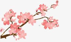 如何选择最适合属虎李姓女孩的名字，追求最佳用字？