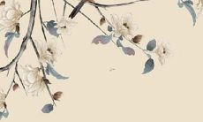 2022年真正的虎年，来了解一下哪些属相会犯太岁的影响！