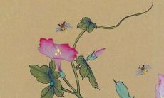 2022年生肖兔祥瑞临门，喜庆事件不断！