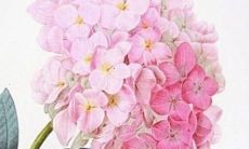 预测：李居明在2022年将获得怎样的人际关系、事业发展以及财务状况的详细解读与指导的运势书