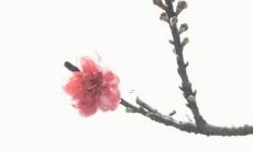 如何寻找一个优美的游戏名称？