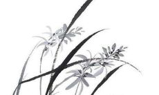 对比：1959年出生的“猪”在2022年的运势如何？