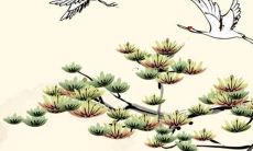 2022本命年的职场和工作前景：探寻顺势而为的事业运势