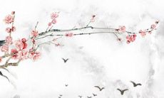 需要改名的98年出生的属虎女性应该注意哪些因素来选择合适的新名字？