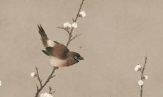 2022年详细解析：具有属牛人男性格特质的人的全年运程