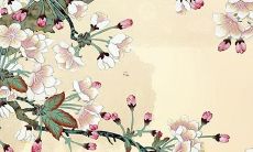 2022年77岁属蛇人的财运展望：财富与金融前景如何？