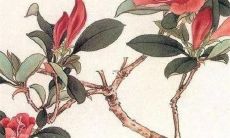 2022年最容易发大财的生肖排行榜：虎年财运最旺的三大幸运生肖