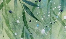 属蛇人终于在2023年迎来了转运，命运之轮开始向他们倾斜了！