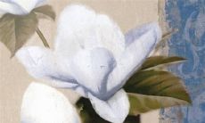 祸福相伴，虎年犯太岁的人应注意哪些生肖搭配以及可能带来的喜与忧？