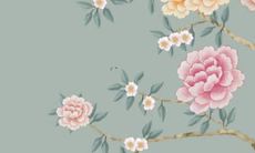 冲太岁2022年时如何化解太岁冲，以避免不幸和灾难的影响？