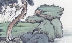 2022年，属蛇的运势详解——揭示你全年的吉凶变化趋势！