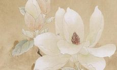 2022年属蛇的人需要关注哪些事项？属蛇人在2022年应该采取什么行动？