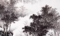 丙火2022壬寅年运势：机遇多多，适宜创业发展的时机来临！