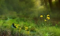 十二生肖中，哪四个属相会与兔发生冲突？兔子的宿敌是哪个生肖？