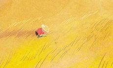 如何提高属兔人在2022年的感情运势和桃花指数？