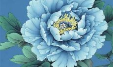 999年出生的属兔人士在2022年的运势如何呢？