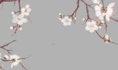 详细分析：林俊杰在将来2022年的运势是怎样的？