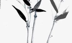 龙年生肖人士1976年属龙，详解其2022年运势和运程