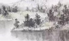 2022年属虎人的运势与运程解析：全面详述