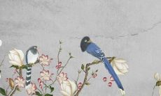 属虎74年出生的人在哪几个月会遭受太岁的影响？