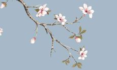 2022年，基于农历十二生肖之一的「癸水牛人」的运势预测