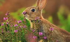 属马人与异地恋人见面时最关注的事项是什么？