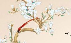 2022年是属龙者桃花运势如何的问号，探究它的原因、影响与建议