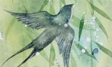 2022年属马人的幸运色以及对其运势的影响在哪里？