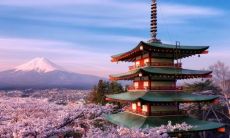 探寻日系软萌女生的高级网名，有哪些经典的日系网名值得收藏？