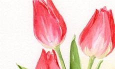 2022年，以属牛的73岁女性的整体运势展望