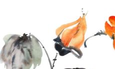 当属鸡的人会迎来犯太岁的时刻？