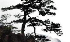 2022年遇到猴虎年，佩戴什么能旺运又招财？