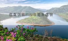 2022年属鼠男如何面对每月不同的运势挑战？