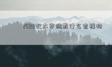 2022年犯太岁，你需要佩戴什么吉祥物？