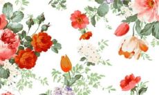 27岁的95年属猪人经历了一场惨痛的大灾难，经历了巨大困境和挑战的人生历程