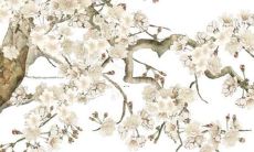 探究天平男在2022年的运势与未来发展趋势