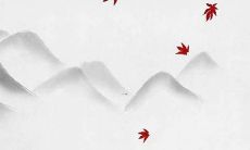 探究属龙人在2022年的生肖运程趋势与预测信息