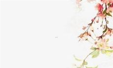 犯太岁的鸡年生肖，该如何应对、化解厄运？