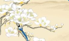 如何化解犯太岁所带来的不利影响：探讨应对策略及实用技巧