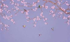 2022年属猪的运势展望及灾难发生时间：揭秘属猪人士今明两年的命运走势与关键节点