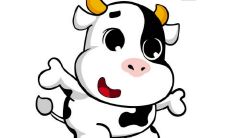 61岁生肖牛女的2021年运势：探寻1961年出生牛女的今年命运如何？