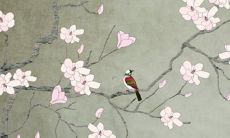 88个男龙在2022年全年的运势展望