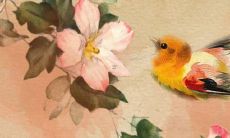 作为98年属虎的24岁本命年，在生日时如何送礼物与注意事项？